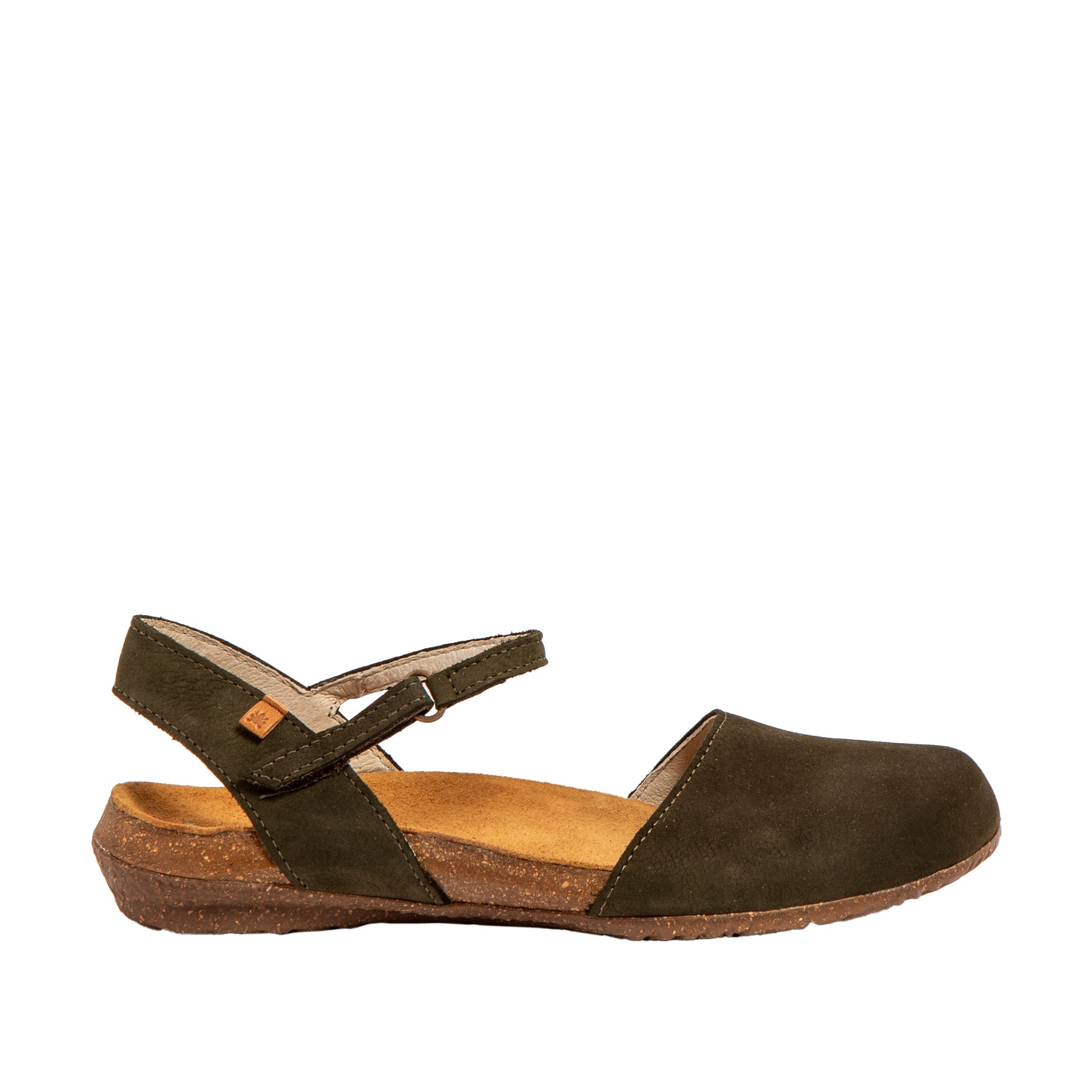 El Naturalista N412 Wakataua mostrato in una vista prospettica naturale.